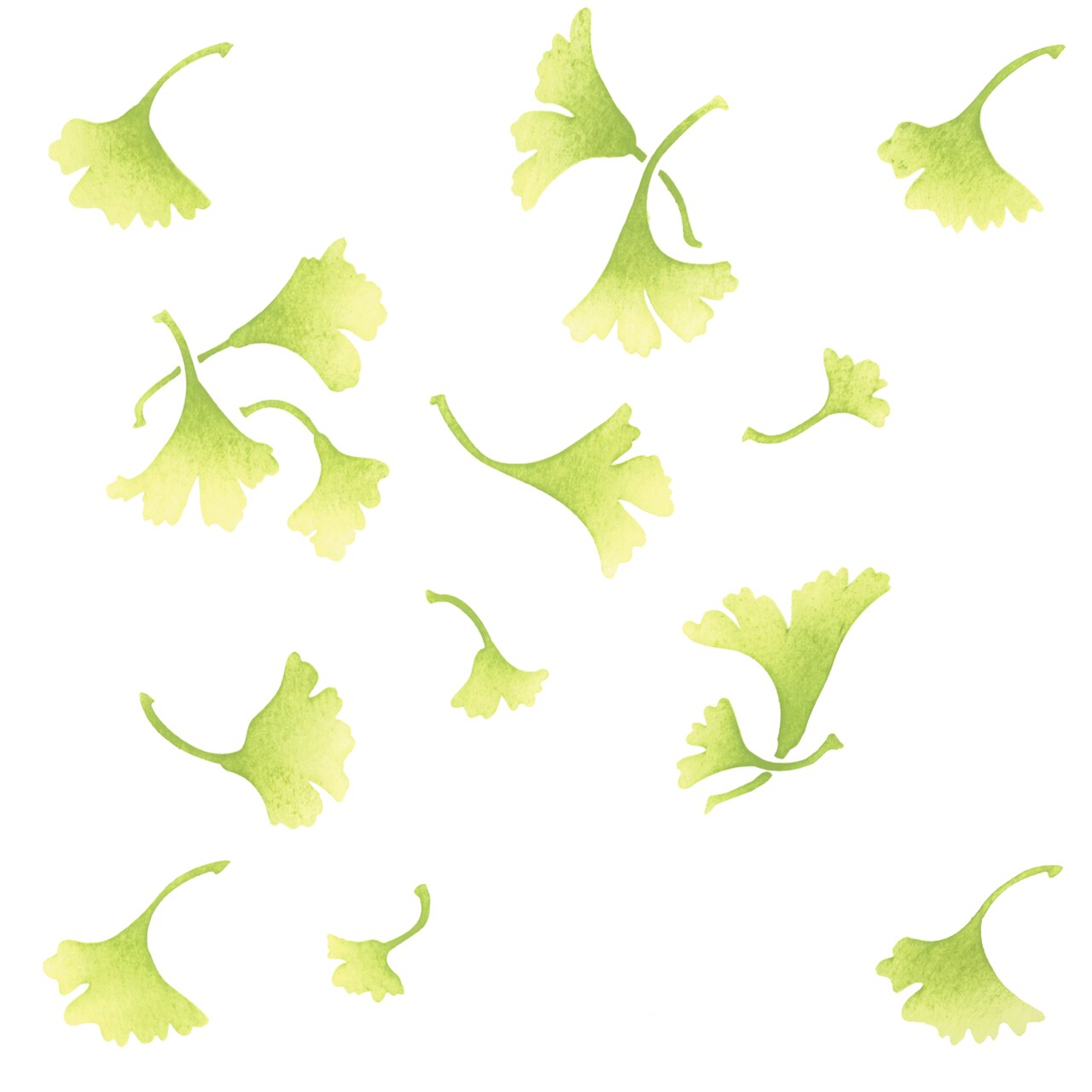 Ginkgo Wallpaper Wall Stencil | 2691 by Designer Stencils | Floral Stencils | Reusable Art Craft Stencils for Painting on Walls, Canvas, Wood | Reusable Plastic Paint Stencil for Home Makeover | Easy to Use & Clean Art Stencil